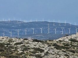 Ανεμογεννήτριες: Αν θέλετε να ασχοληθείτε επιχειρηματικά μαζί τους…